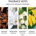 Molton Brown Dewy Lily Of The Valley and Star Anise Hand Cream 40 ml - Buy Online on GoSupps.com