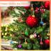 10 Pcs Cat Bells Dog Cat Bell for Collar with Loud Crisp Sound Bell for Dog Cat Collar Made of Sturdy Metal Dog Cat Collar Charms Pet Bell in Random Color Jingle Bell for Christmas Decoration - Buy Online on GoSupps.com