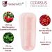 Buy F rstenmed 180 Montmorency Sour Cherry Capsules - Prunus Cerasus with Acerola & Nettle | Pure Lab-Tested No Additives for Optimal Health - Buy Online on GoSupps.com