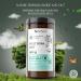Sel de Bain Pieds Vis Plantis Menthe & Menthol 560 g Bain Rafra chissant Exfoliant & Apaisant Peaux Dures Pieds Fatigu s & Muscles Endoloris R duit la Transpiration - Buy Online on GoSupps.com