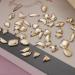 Canvalite 1820Pcs Champagne Rhinestones Nail Gems | 12 Styles 3D Glass Crystals | Nail Rhinestones with Rhinestones Picker & Tweezers | Multi Shape Flatback Face Gems for Nail Art - Buy Online on GoSupps.com