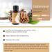Rocky Mountain Cedarwood Essential Oil - 100% Pure Aromatherapy | Hair & Skin Care | Diffusers Massage & DIY | 15ml - Buy Online on GoSupps.com