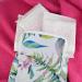 Bella for Teens Ultra-Thin Binding Sensitive Pads - 6-Pack (60 Pieces) Fragrance-Free with Wings for Teen Comfort - Buy Online on GoSupps.com