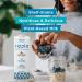 Ripple Non-Dairy Milk Original | Vegan Milk with 8g Pea Protein | On-The-Go Single Serve Cartons | Non-GMO Plant-Based & Gluten-Free | 32 oz Pack of 6 - Buy Online on GoSupps.com