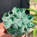 Natural Green Phantom Quartz Crystal Cluster Specimen Stone ERTEYIN (Size : 450-500g) - Buy Online on GoSupps.com