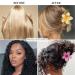 Shop Multi-Colored Plastic Flower Hair Clips - 8 Piece Set | Elegant & Slip-Resistant Hair Accessories for Women & Girls - Buy Online on GoSupps.com