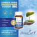 Milk Thistle 10000mg Pure Essence | 80% Silymarin (320mg) and Choline (200mg) | Liver Detox | No Toxic Metals No Allergens No GMO | 40 Vegetable Capsules | Api-Nature - Buy Online on GoSupps.com