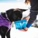 Buy Kurgo Collapsible Dog Food & Water Bowl - 1.4L Capacity Snap Hook Closure - Durable & Portable Blue Bowl for Travel | International Shipping Available - Buy Online on GoSupps.com