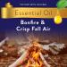 Buy Air Wick Essential Mist Refill - Bonfire & Crisp Fall Air | Limited Edition Essential Oil Diffuser | International Shipping - Buy Online on GoSupps.com