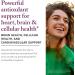 Reserveage Beauty Resveratrol Plus+ 500 mg - Rapid-Release Resveratrol Capsules with Quercetin for Immune System, Brain Health & Cellular Health - Gluten-Free & Vegan - 30 Veggie Capsules - Buy Online on GoSupps.com