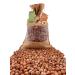 AgnesGP Hazelnuts In Shells for Wild Birds and Squirrels (5Kg Sack Included) - Nutrient-Rich Snack for Your Backyard Friends