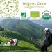Tea Sencha (Infu x20) - Buy Online on GoSupps.com