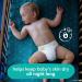 Diapers Size 6  72 Count - Pampers Swaddlers Overnights Disposable Baby Diapers  Enormous Pack (Packaging & Prints May Vary) Enormous Size 6 - Buy Online on GoSupps.com