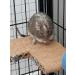 Good Degu Rice puffs- Degu treats 3-pack - Buy Online on GoSupps.com