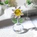 Qianwei Crystal Sunflowers Figurine with Vase - Sunflower Gifts Bouquet Collectible Figurines Crystal Office Home Decor Paperweight - Glass Sun Flower for Women Mom Bestfriend Wedding Anniversary Clear Crystal Sunflower - Buy Online on GoSupps.com