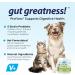 Buy Vetnique Labs Profivex Probiotics for Dogs - All Natural Digestive Health Chews & Powder (8.5oz) - 5 Probiotic Strains & Prebiotics - Buy Online on GoSupps.com