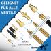 Shibox Bicycle Valve Adapter Set | All Valve Types | Auto & French Valve Adapters in Organizer Box | Air Pump Compatible - Buy Online on GoSupps.com