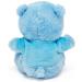 Blue Teddy Bear - Ideal Newborn Gift for Baby Boys - Buy Online on GoSupps.com