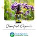 Louianna Organic Wild Oregano Oil - 80% Carvacrol Drops for Oral & Topical Use | 30 mL - Buy Online on GoSupps.com