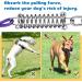 Barporary 3m Dog Cable Runner - Durable Stainless Steel for Large Dogs up to 120lbs | Lockable Hooks & Violet Design - Buy Online on GoSupps.com