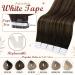 Full Shine 16 Invisible Tape In Human Hair Extensions - R-282 Color Blend (50g, 20pcs) - Buy Online on GoSupps.com
