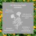 Sunlife Marigold Ointment 100 ml Soothing Care Cream with Marigold Extract Jojoba Oil Vitamin E & Allantoin for Stressed & Sensitive Skin Buy Now! - Buy Online on GoSupps.com