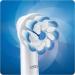 Oral-B Sensitive Clean Pack of 4 - 3 Sensitive Clean Brushes + 1 Sensi Ultrathin Brush - Buy Online on GoSupps.com