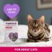YuMOVE Calming Care for Cats | Previously YuCALM Cat | Calming Supplemnent for Cats who are Stressed or Nervous | Packaging may vary 30 Tablets - Buy Online on GoSupps.com