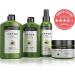 Detox & Repair Shampoo - 8.45 oz with Avocado Oil & Green Tea - Buy Online on GoSupps.com