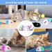 Molain 12 Pieces Cat Mice Toys Furry Cat Toy Interactive Toys Cat Mouse Animals Toys for Indoor Cats and Kittens - Buy Online on GoSupps.com
