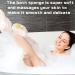 3 Pack Loofah Bath Sponges for Exfoliating and Cleansing | Ultra Soft Honeycomb Body Sponge Set for Shower | Men, Women, Children - Buy Online on GoSupps.com