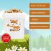 Nut Mix of Nature - 3kg Crunchy Nuts | 7 Types of Premium Nut Blend | Paranse Walnuts Cashews Pecans Hazelnuts & Blanched Almonds | Nut Fox - Buy Online on GoSupps.com