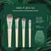 EcoTools Dash of Glow Kit | Eco-Friendly Makeup Brushes & Sponge Set | 5-Piece Cruelty-Free Gift Set for Foundation & Eyeshadow - Buy Online on GoSupps.com