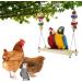 ERKOON Handmade Chicken Swing Ladder Toy with Natural Wooden Perch for Hens - Ideal for Chicken Coops and Bird Cages - Buy Online on GoSupps.com