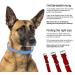 Sniffing Fans Leather Dog Collar - Padded Robust for All Sizes (S 24-30cm Red) - Perfect for Medium Large & Small Dogs - Buy Online on GoSupps.com