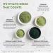 Melrose Essential Greens Superfood Powder - Organic Gut Health & Detox Blend with Wheatgrass, Barley, Chlorella & Spirulina - Gluten-free, Vegan, Non-GMO - ACO Certified - 1 Month Supply - Buy Online on GoSupps.com
