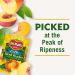 Del Monte Foods Sliced Yellow Peaches in Extra Light Syrup 15 oz (12 Pack) | Del Monte Yellow Peaches - Extra Light Syrup - 12 Pack - Buy Online on GoSupps.com