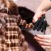 3 Barrel Curling Iron 25mm Hair Curler Hair Waver Wand Adjustable Temperature with 2 Temperature Control for Long or Short Hair Styling Curling Iron Large Wave Ceramic Wide Hair Crimpers Black - Buy Online on GoSupps.com
