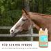 Supravit MSM & Glucosamine for Horses | 1000ml Liquid Joint Health Supplement | Support Tendons & Ligaments - Buy Online on GoSupps.com