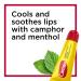 Carmex Medicated Lip Balm Tubes 3x0.35oz (2 Packs) + Lip Balm Stick 0.15oz - Moisturizing Lip Care Set - Buy Online on GoSupps.com