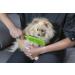 FURemover Handheld Pet Hair Removal Tool - Silicone Lint & Debris Remover Duo - Buy Online on GoSupps.com