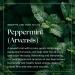 Nikura Peppermint (Arvensis) Essential Oil 1kg - 100% Pure & Natural | Ideal for Candle Making, Aromatherapy, Soap Making | Hair Oil, Spider Repellent | Vegan & UK Made - Buy Online on GoSupps.com