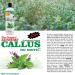 SPA REDI Callus Remover Gel - Mint & Eucalyptus 12 Oz - Professional Foot Care for Toughest Calluses - Smooths Dry Cracked Heels - Buy Online on GoSupps.com