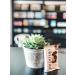 Elemental Superfood Dark Chocolate + Peanut Butter Seedbars - 12 Pack | Non-GMO, Organic, Gluten-Free, Dairy-Free, Plant-Based - Buy Online on GoSupps.com