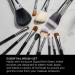 Sigma Essential Brush Kit - 12-Piece Professional Makeup Brush Set - Buy Online on GoSupps.com