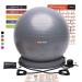 WISEMAX Exercise Ball Chair  Stability Yoga Balance Ball with Ring Base, Resistance Bands & Pump, Loop Bands, Carry Bag, Poster for Home, Office, Posture, Gym Bundle, Home Workout- 65cm Gray