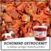 Supravit Carrot Chips for Horses - 2kg Bucket | Tasty & Digestible Dried Treats - Healthy Supplementary Feed - Buy Online on GoSupps.com