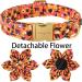Buy Aring Pet Halloween Dog Halison - Sweet Orange Flower Design Adjustable Cotton Collars for All Dog Sizes (X-Large) - Buy Online on GoSupps.com