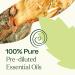 Plant Therapy Muscle Aid Essential Oil Blend Roll-On 10 mL ( oz) Pre-Diluted Cooling Muscle Relief - Buy Online on GoSupps.com