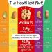 3-Pack Crazy Go Nuts Walnuts - Plain with Sea Salt 4.5 oz - Healthy Vegan Snacks with ALA Omega 3 Fatty Acids and Antioxidants - Buy Online on GoSupps.com
